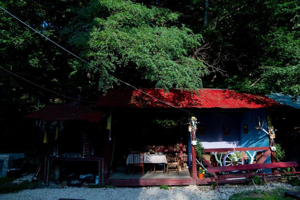 Cabanita Villa อุนโตซูรา บูโซลุย ภายนอก รูปภาพ